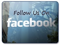 KidsBiology.com - Biology For Kids | English as a second language+Reading Comprehension | Scoop.it