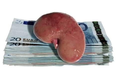 Sept israéliens inculpés pour un trafic d’organes international | ACTUALITÉ | Scoop.it