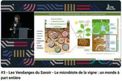 Microbiote de la vigne | SCIENCES DU VEGETAL | Scoop.it