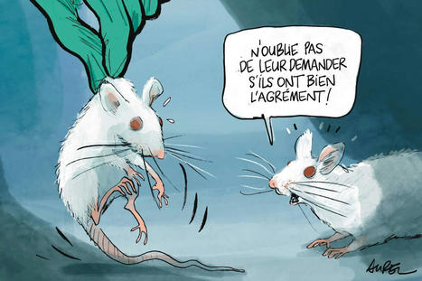 Des milliers de recherches sur animaux menées en France « hors cadre réglementaire » | EntomoScience | Scoop.it