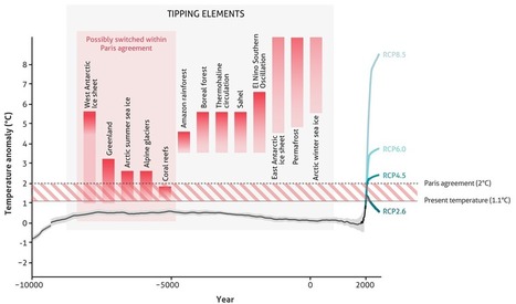 We have the tools to fight climate change. It’s time to start using them | TunstallGeog - Water and Carbon Cycles (AQA Geography A-level 3.1.1) | Scoop.it