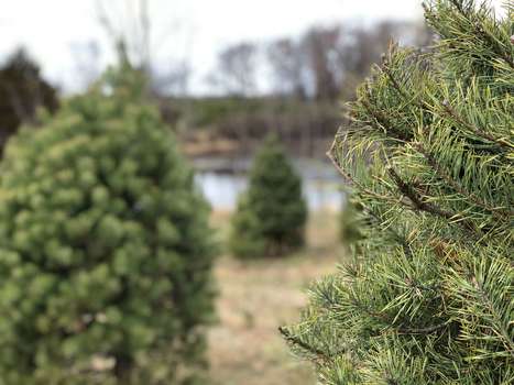 How To Add Holidays and Events To Your Blogging Planner | The Content Marketing Hat | Scoop.it