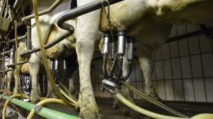 Crise du lait : Un partenariat entre Sodiaal et Système U | Lait de Normandie... et d'ailleurs | Scoop.it
