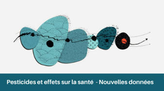 Pesticides et santé – Inserm, La science pour la santé | Insect Archive | Scoop.it