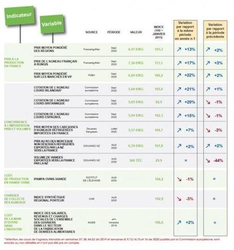Les indicateurs économiques ovins d'octobre 2020 | Actualité Bétail | Scoop.it