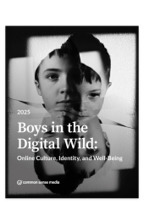 Boys in the Digital Wild: Online Culture, Identity, and Well-Being | Education 2.0 & 3.0 | Scoop.it
