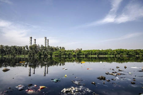 La pollution de l’environnement cause plus de morts dans le monde que le Covid | Toxique, soyons vigilant ! | Scoop.it