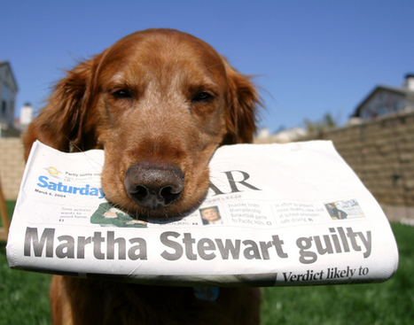 Bad Dogs: 18 Brand New, Worst Press Releases | Public Relations & Social Marketing Insight | Scoop.it