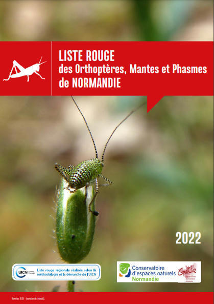 Liste Rouge des Orthoptères, mantes et phasmes de Normandie | Biodiversité | Scoop.it