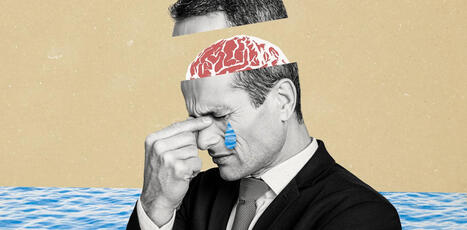 La faute de nos biais cognitifs, vraiment&nbsp;? Comment cette notion fabrique l&rsquo;inaction &eacute;cologique | EntomoScience | Scoop.it