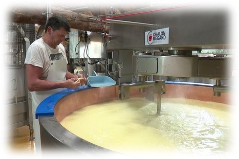 Comment les producteurs de Beaufort transforment le petit-lait en énergie | Lait de Normandie... et d'ailleurs | Scoop.it