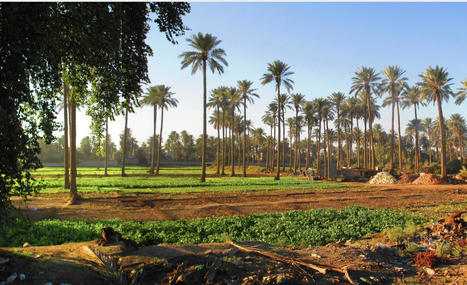 Get Digging: 4 Beautiful Farms to Visit Across EGYPT | CIHEAM Press Review | Scoop.it