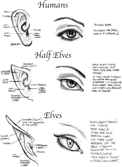 Ear Drawing Reference Guide | Drawing Reference...