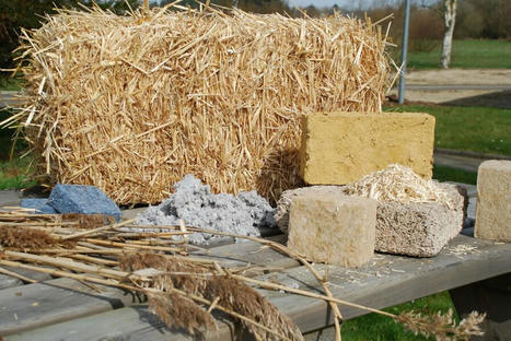 Même encapsulés les biosourcés réduisent le bilan carbone | Matériaux recyclés, géo et bio-sourcés en régions méditerranéenne et alpine | Scoop.it
