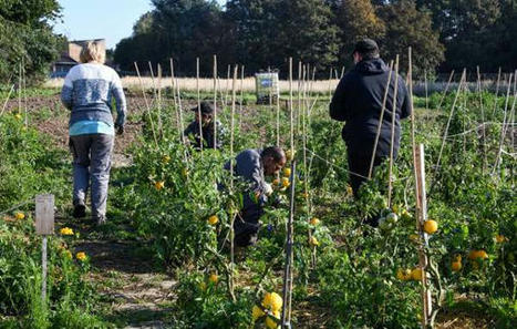 « Territoires zéro chômeur de longue durée » : montant de la participation de l’Etat pour 2021 | Emploi, formation & insertion | Scoop.it