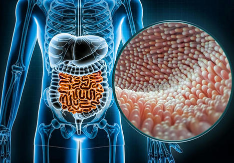 Effective Electroacupuncture Techniques to Relieve Gut Inflammation | Call: 915-850-0900 | The Gut "Connections to Health & Disease" | Scoop.it