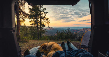 Park4night: l'app' indispensable pour trouver des spots de camping | Les evolutions de l'offre touristique | Scoop.it