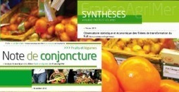 Les publications de FranceAgrimer de la filière fruits et légumes - - FranceAgriMer | HORTICULTURE | Scoop.it