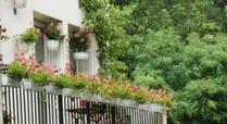 Épinay-sur-Seine. Concours du meilleur jardinier : verdissez la ville ! | Les Colocs du jardin | Scoop.it