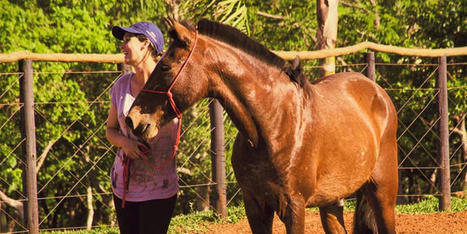 Stressed first-responders benefit from horse-related therapy - study | Befriending Anxiety | Scoop.it