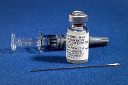 Could Implanted Pellets Replace Booster Shots? | healthcare technology | Scoop.it