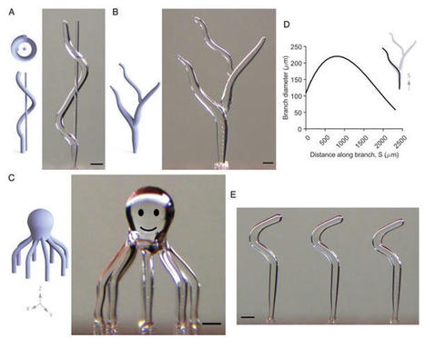 Researchers have created a microscale method for 3D printing intricate structures using water | 3DM-Shop news | Scoop.it