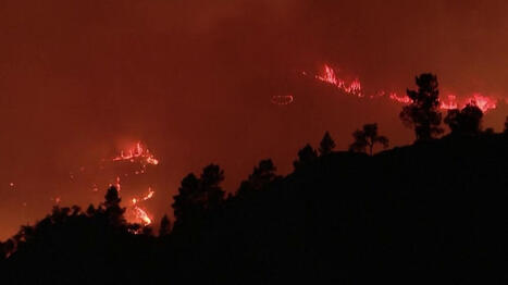 Incendies : le Portugal et l'Espagne en proie aux flammes &ndash; | Biodiversit&eacute; - @ZEHUB on Twitter | Scoop.it