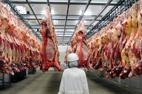 Les Abattoirs de Casablanca certifiés ISO 22000 v2018 et ISO 9001 v2015 pour la cinquième fois | La Gazette des abattoirs | Scoop.it