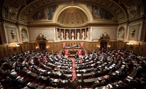Projet Loi Asile-Immigration: Les sénateurs instaurent une limitation au droit du sol à Mayotte | Revue Politique Guadeloupe | Scoop.it