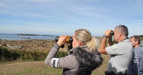 Perros-Guirec : le littoral sous surveillance pour la grande marée | Biodiversité | Scoop.it