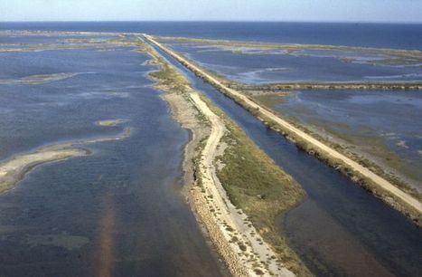 Pétition contre le projet autoroutier VSV qui traverse la Crau et la Camargue | Camargue Nature | Scoop.it