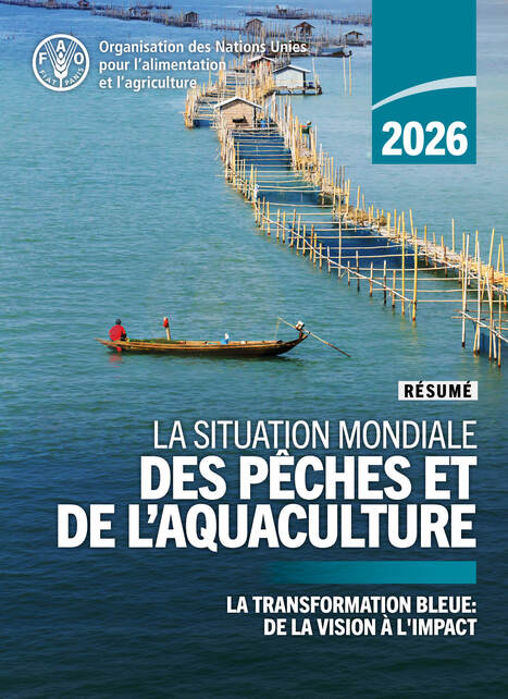 La situation mondiale des p&ecirc;ches et de l'aquaculture - FAO | Biodiversit&eacute; | Scoop.it
