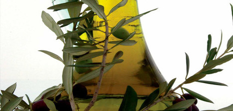 EEUU, Brasil y Japón, TOP 3 de países destino de las exportaciones europeas de aceite de oliva | OLIVE NEWS | Scoop.it
