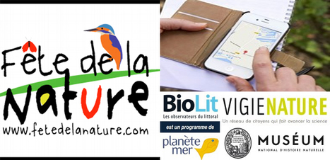 #Geocaching #sciencesparticipatives avec la @fetedelanature du 18 au 22 mai #FDLN2016 | TUICnum&eacute;rique | Scoop.it