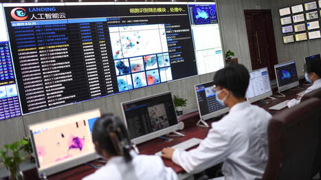 "On gagne plusieurs années" : comment une IA générative a ouvert une nouvelle voie potentielle dans la lutte contre le cancer | @ZeHub | Scoop.it