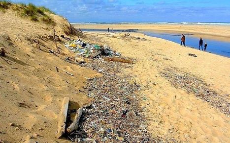Landes : grand nettoyage au courant d’Huchet  | Landes | Scoop.it