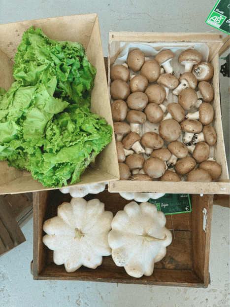 Consommer local dans les Hautes-Pyr&eacute;n&eacute;es | D&eacute;veloppement local | Scoop.it