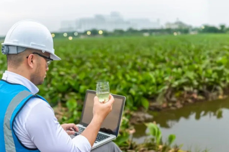 Les m&eacute;tiers &agrave; finalit&eacute; environnementale en France : &eacute;tat des connaissances en 2025 | Prospective emploi comp&eacute;tence | Scoop.it