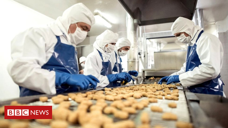 AI 'poses less risk to jobs than feared' says OECD | Microeconomics: IB Economics | Scoop.it