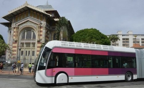 La sénatrice Conconne plaide pour la gratuité des transports publics (Martinique) | Revue Politique Guadeloupe | Scoop.it
