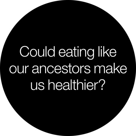 The Evolution of Diet | YOUR FOOD, YOUR ENVIRONMENT, YOUR HEALTH: #Biotech #GMOs #Pesticides #Chemicals #FactoryFarms #CAFOs #BigFood | Scoop.it