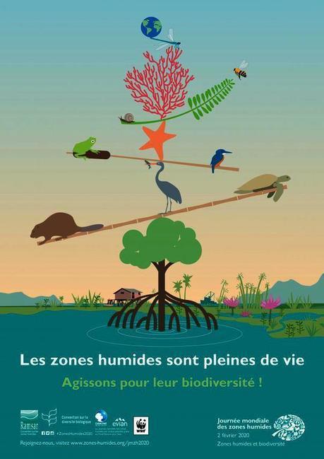 Journée mondiale des zones humides 2020 : faites découvrir votre Oasis Nature | Variétés entomologiques | Scoop.it