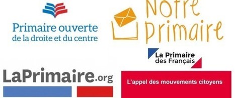 "Primaire des Français", "LaPrimaire.org"... face à la crise, les initiatives politiques fusent | Think outside the Box | Scoop.it