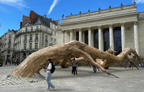 Voyage à Nantes 2024 : Des arbres qui envoient du bois à découvrir partout en ville | Les clefs du Van | Scoop.it