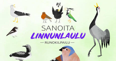 Sanoita linnunlaulu -runokokoelma on julkaistu | Yle Luonto | Yle | 1Uutiset - Lukemisen t&auml;hden | Scoop.it