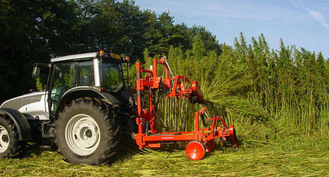 La filière du chanvre s'organise en Nouvelle-Aquitaine | Atouts pour s’implanter et se développer en Nouvelle-Aquitaine | Scoop.it