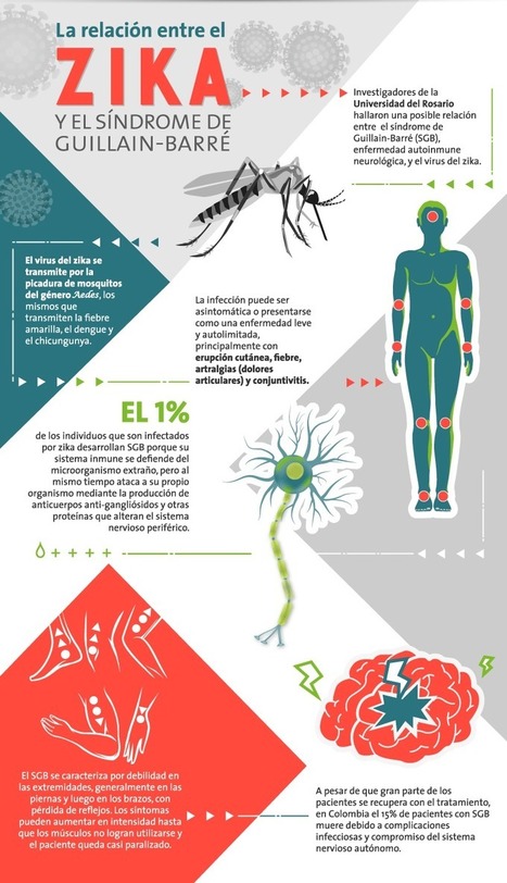 Sindrome Guillain barré y Zika, ¿Cuál es su relación? - Universidad del Rosario | Temas varios sobre Microbiología clínica | Scoop.it