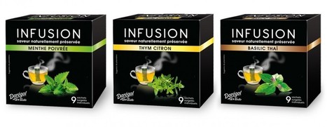 Infusions 100% naturelles Darégal - Cook Innov | Epices, aromates, poivre et vanille | Scoop.it