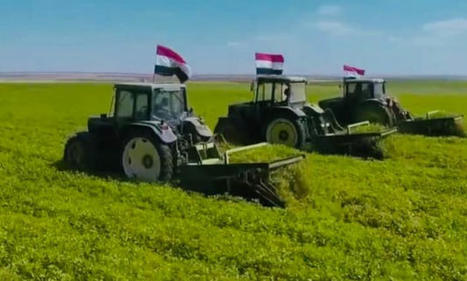 EGYPT’s Agricultural Development Plan: 6 key directives for 2023/24 unveiled | MED-Amin network | Scoop.it