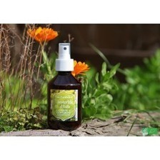 Coup de soleil ? Ayez le réflexe hydrolat Hélichryse italienne (Helichrysum italicum) | La Cabane aux Arômes | Scoop.it